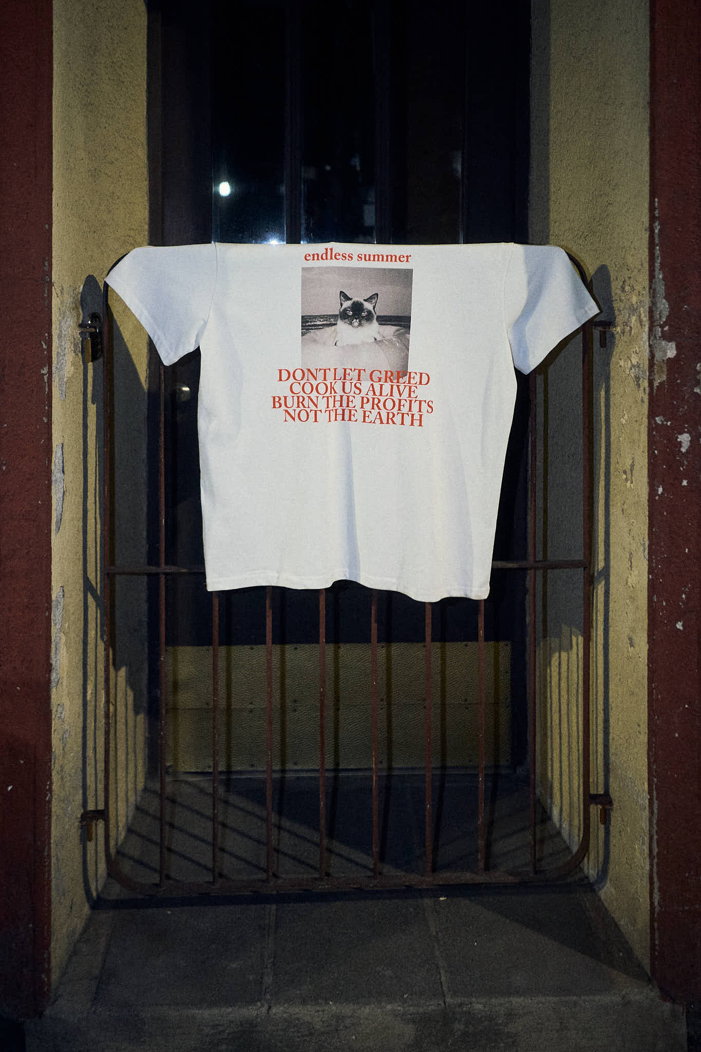 BURN PROFITS, NOT EARTH T-SHIRT