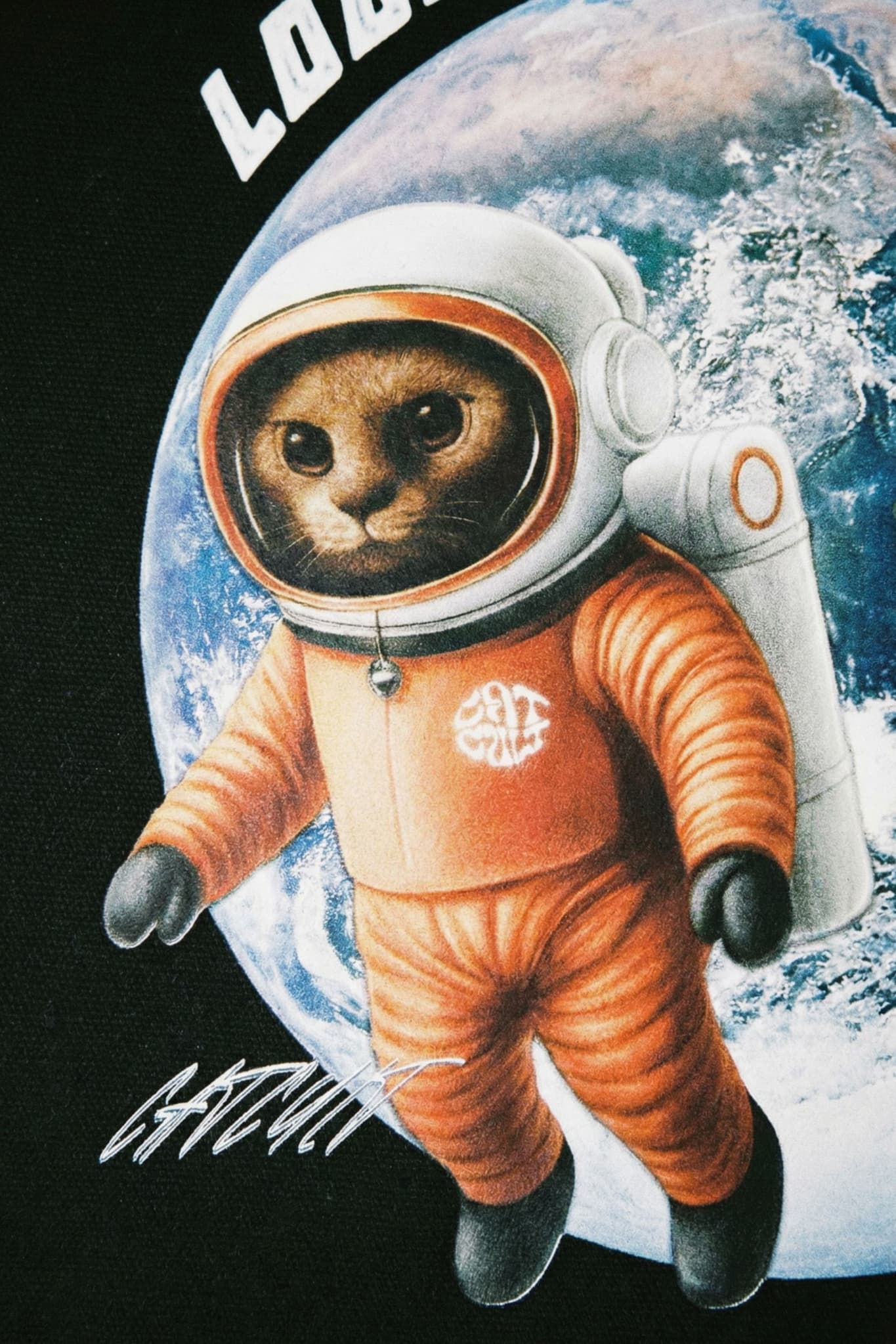 LOOKING FOR A PLANET TASCHE