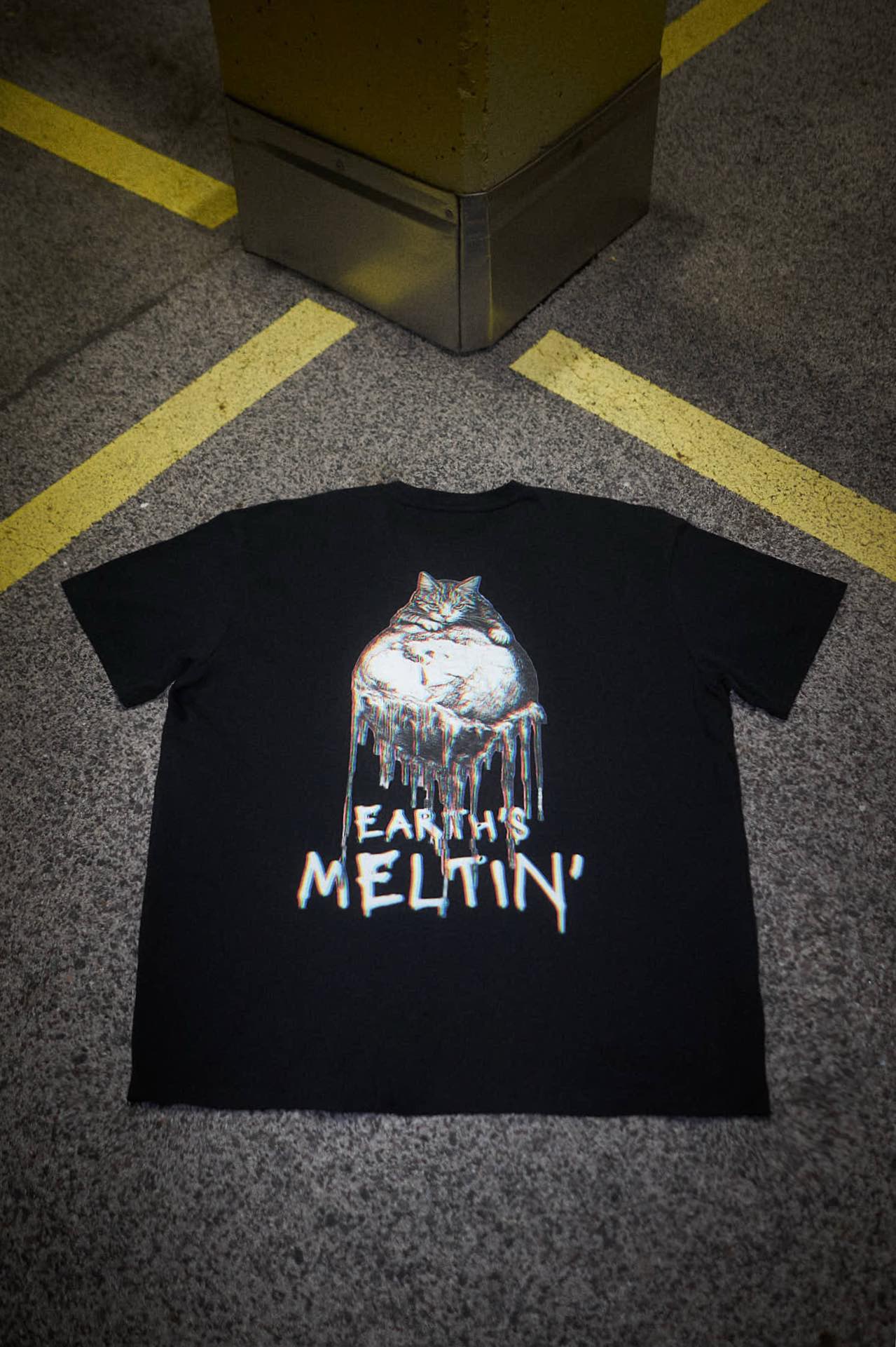 MELTING EARTH